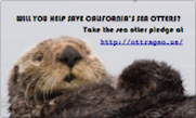 Save the California Sea Otter