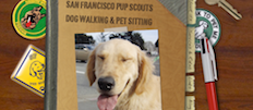 San Francisco Pup Scouts